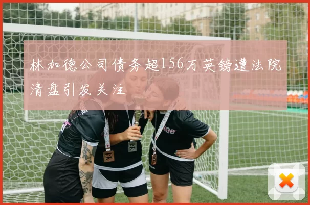林加德公司债务超156万英镑遭法院清盘引发关注