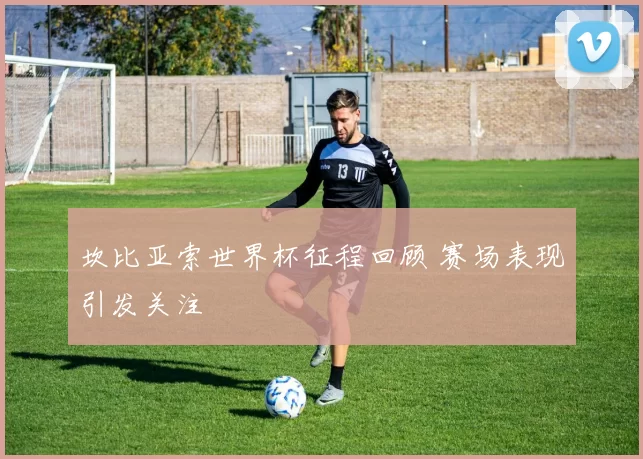 坎比亚索世界杯征程回顾 赛场表现引发关注