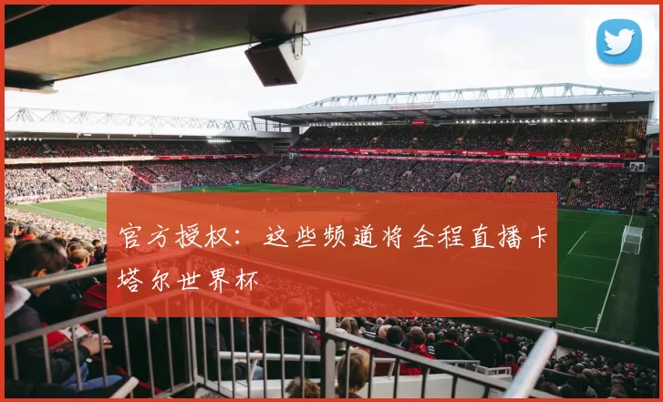 官方授权：这些频道将全程直播卡塔尔世界杯
