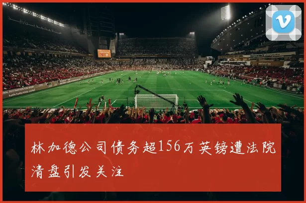 林加德公司债务超156万英镑遭法院清盘引发关注