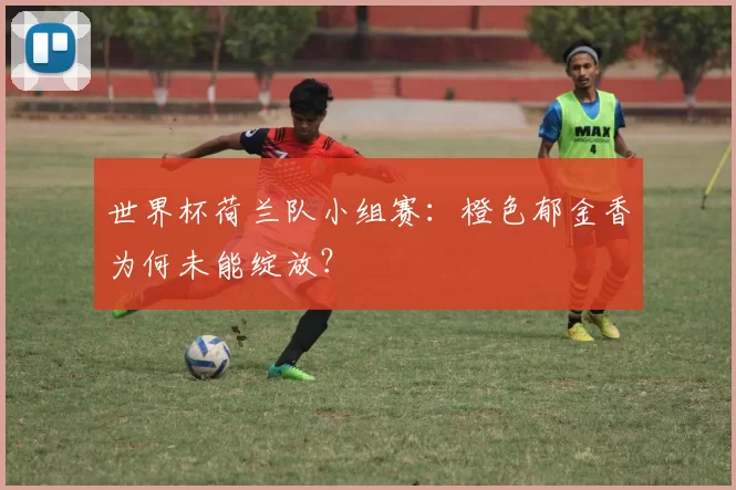 世界杯荷兰队小组赛:橙色郁金香为何未能绽放?
