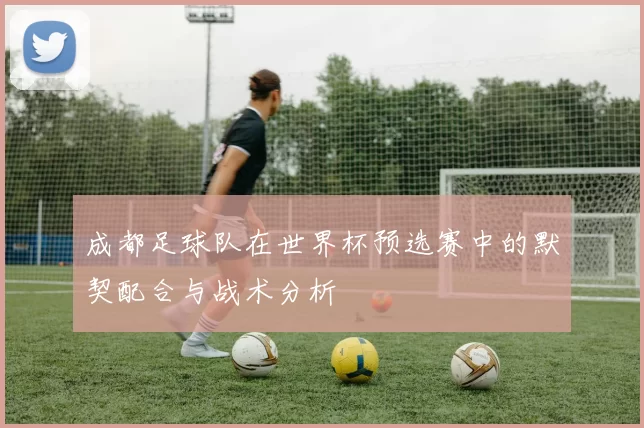 成都足球队在世界杯预选赛中的默契配合与战术分析