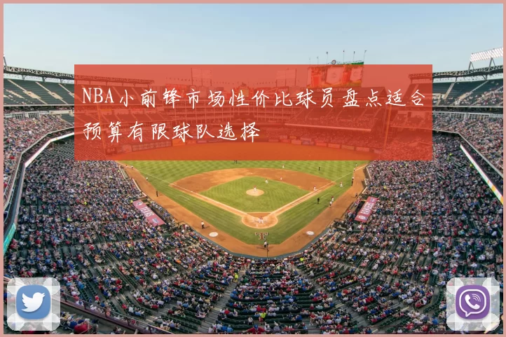 NBA小前锋市场性价比球员盘点适合预算有限球队选择