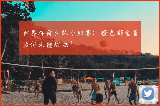 世界杯荷兰队小组赛:橙色郁金香为何未能绽放?