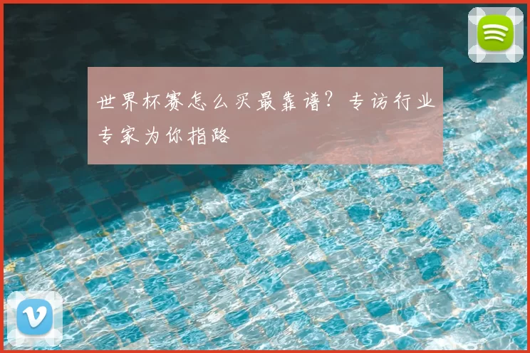 世界杯赛怎么买最靠谱？专访行业专家为你指路