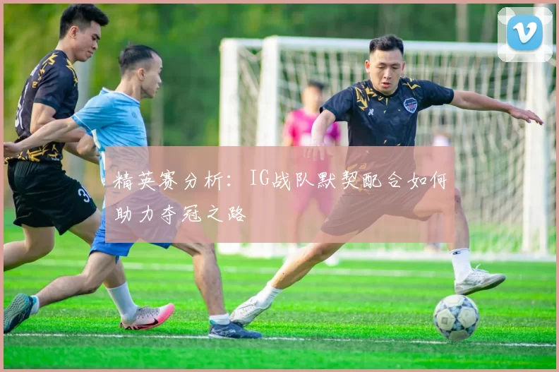 精英赛分析:IG战队默契配合如何助力夺冠之路